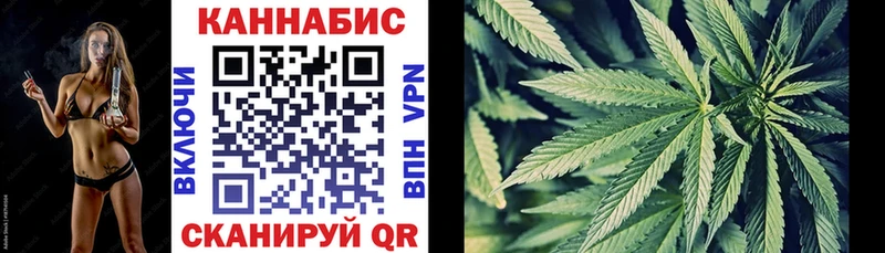 блэк спрут вход где найти наркотики Соль-Илецк Шишки марихуана семена